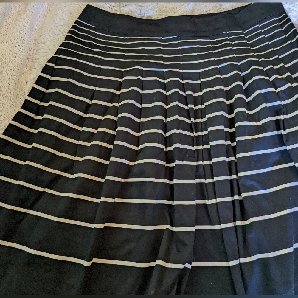 Black and white striped skirt